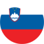 flag_slo